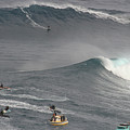 Jaws Challenge
